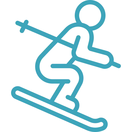 Icone skieur